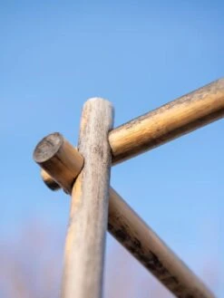 Bamboo Tomato Cages, Set Of 3 -Garden Tools Shop 8613143 0385