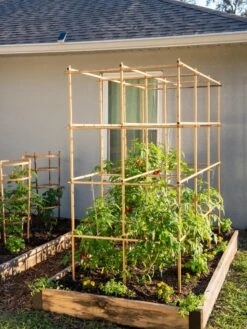 Tomato Six Pack Support -Garden Tools Shop 8613143 6970