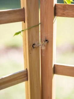 Bamboo Zig-Zag Trellis 24" X 36" -Garden Tools Shop 8613151 6483