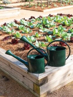 Long Reach Watering Can, Large 10 Long Reach Watering Can, Large -Garden Tools Shop 8613346 0148 1