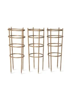 Bamboo Tomato Cages, Set Of 3 -Garden Tools Shop 8613426 4679 bamboo tomato cages 3