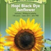 Hopi Black Dye Sunflower Organic Seeds