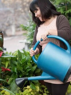 French Blue Watering Can 13 French Blue Watering Can -Garden Tools Shop EmilyHoangSquare 0151 tif