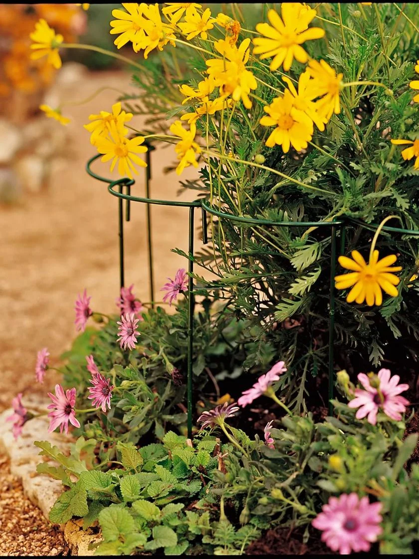 Curved Linking Stakes 1 Curved Linking Stakes