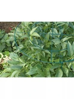 Grow Through Supports, Set Of 3 7 Grow Through Supports, Set Of 3 -Garden Tools Shop GS40172 01 1