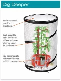 Tomato TLC Kits, Set Of 3 9 Tomato TLC Kits, Set Of 3 -Garden Tools Shop hiw 8594214 jpg