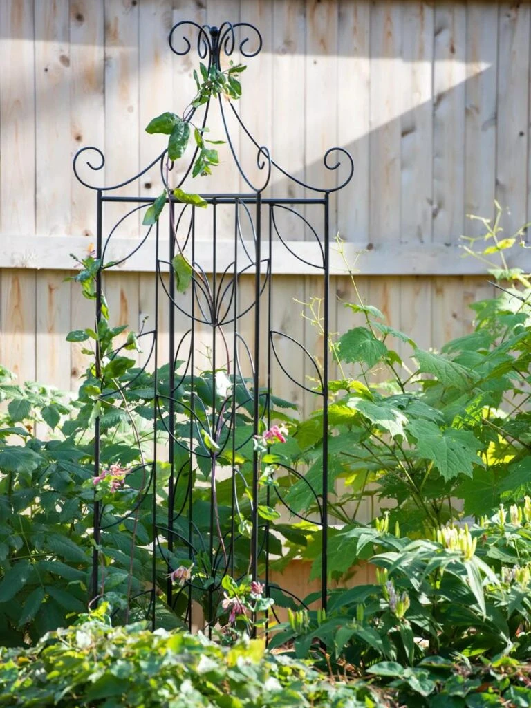 Garden Tools Shop 52 Garden Tools Shop -Garden Tools Shop 8611658 035 tif 768x1024 1